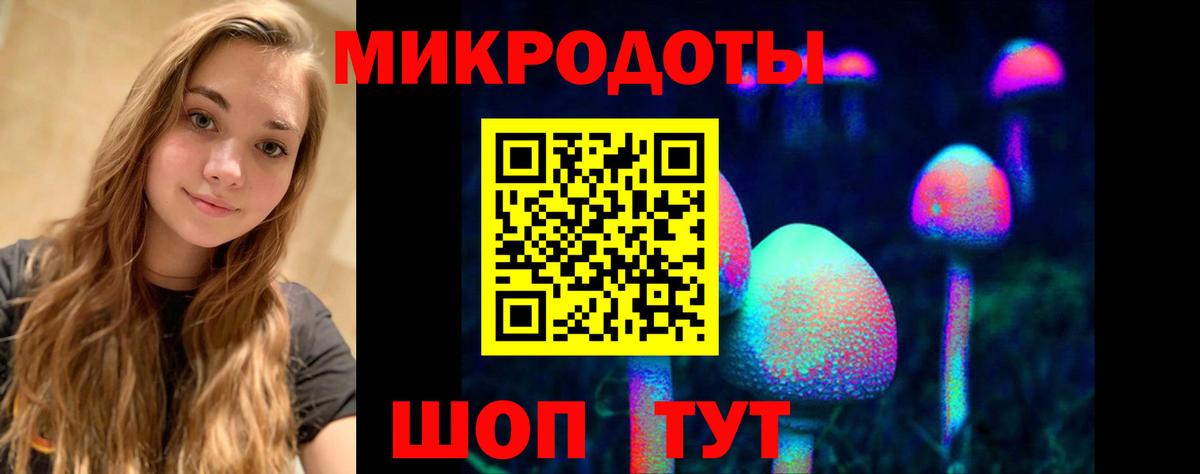 Южно-Сахалинск  Галлюциногенные грибы мухоморы  Вход с VPN 